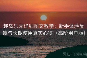 趣岛乐园详细图文教学：新手体验反馈与长期使用真实心得（高阶用户版）