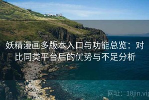 妖精漫画多版本入口与功能总览：对比同类平台后的优势与不足分析