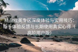 精品欧美专区深度体验与实用技巧：新手体验反馈与长期使用真实心得（高阶用户版）