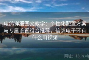 电鸽详细图文教学：个性化配置方案与专属设置组合推荐，信鸽电子环有什么用视频