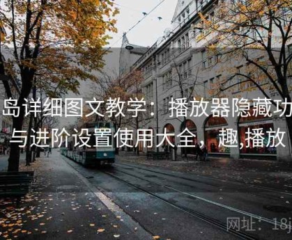 趣岛详细图文教学：播放器隐藏功能与进阶设置使用大全，趣,播放
