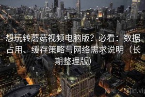 想玩转蘑菇视频电脑版？必看：数据占用、缓存策略与网络需求说明（长期整理版）