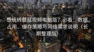 想玩转蘑菇视频电脑版？必看：数据占用、缓存策略与网络需求说明（长期整理版）