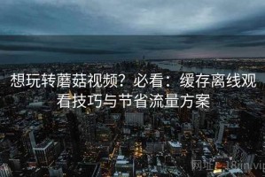 想玩转蘑菇视频？必看：缓存离线观看技巧与节省流量方案