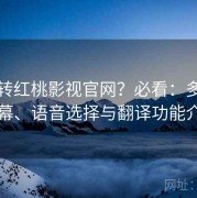 想玩转红桃影视官网？必看：多语言字幕、语音选择与翻译功能介绍