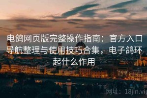 电鸽网页版完整操作指南：官方入口导航整理与使用技巧合集，电子鸽环起什么作用