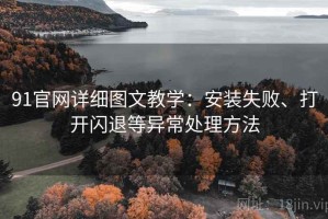 91官网详细图文教学：安装失败、打开闪退等异常处理方法