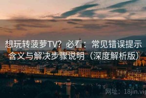 想玩转菠萝TV？必看：常见错误提示含义与解决步骤说明（深度解析版）