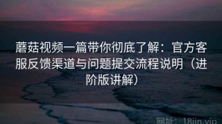 蘑菇视频一篇带你彻底了解：官方客服反馈渠道与问题提交流程说明（进阶版讲解）