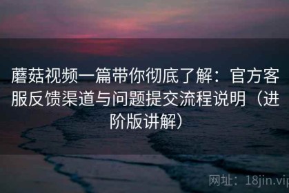 蘑菇视频一篇带你彻底了解：官方客服反馈渠道与问题提交流程说明（进阶版讲解）