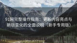 91网完整操作指南：更新内容亮点与新版变化的全面说明（新手专用版）