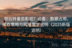 想玩转番茄影视？必看：数据占用、缓存策略与网络需求说明（2025新版说明）