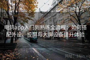 电鸽app入门到熟练全流程：如何搭配外设、投屏与大屏设备提升体验