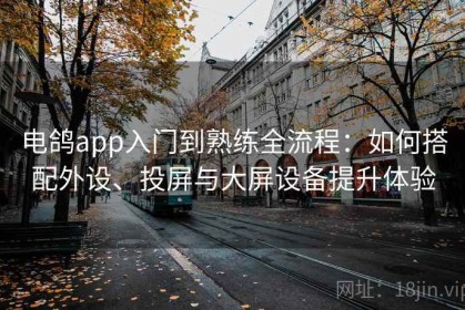 电鸽app入门到熟练全流程：如何搭配外设、投屏与大屏设备提升体验