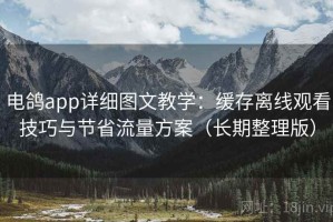 电鸽app详细图文教学：缓存离线观看技巧与节省流量方案（长期整理版）