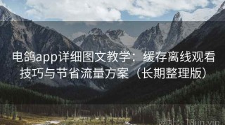 电鸽app详细图文教学：缓存离线观看技巧与节省流量方案（长期整理版）
