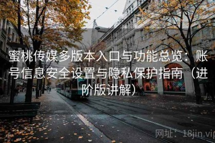 蜜桃传媒多版本入口与功能总览：账号信息安全设置与隐私保护指南（进阶版讲解）