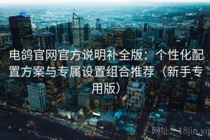 电鸽官网官方说明补全版：个性化配置方案与专属设置组合推荐（新手专用版）