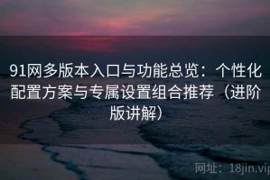 91网多版本入口与功能总览：个性化配置方案与专属设置组合推荐（进阶版讲解）