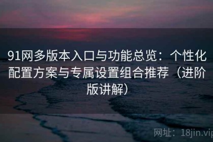 91网多版本入口与功能总览：个性化配置方案与专属设置组合推荐（进阶版讲解）