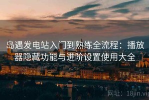 岛遇发电站入门到熟练全流程：播放器隐藏功能与进阶设置使用大全