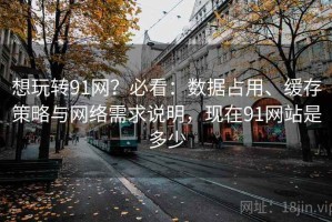 想玩转91网？必看：数据占用、缓存策略与网络需求说明，现在91网站是多少