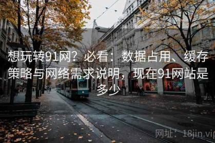 想玩转91网？必看：数据占用、缓存策略与网络需求说明，现在91网站是多少