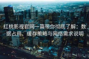 红桃影视官网一篇带你彻底了解：数据占用、缓存策略与网络需求说明