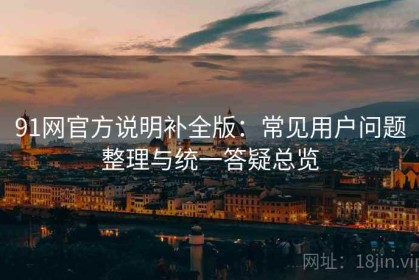 91网官方说明补全版：常见用户问题整理与统一答疑总览
