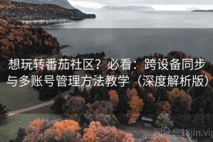 想玩转番茄社区？必看：跨设备同步与多账号管理方法教学（深度解析版）