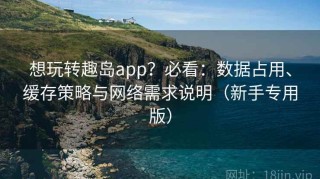 想玩转趣岛app？必看：数据占用、缓存策略与网络需求说明（新手专用版）
