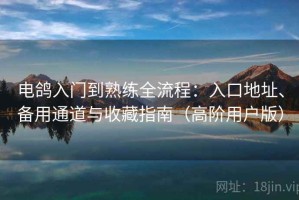 电鸽入门到熟练全流程：入口地址、备用通道与收藏指南（高阶用户版）
