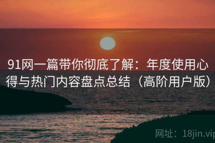 91网一篇带你彻底了解：年度使用心得与热门内容盘点总结（高阶用户版）