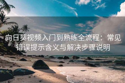 向日葵视频入门到熟练全流程：常见错误提示含义与解决步骤说明