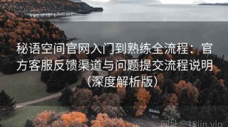 秘语空间官网入门到熟练全流程：官方客服反馈渠道与问题提交流程说明（深度解析版）