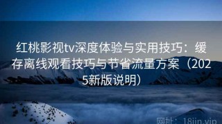 红桃影视tv深度体验与实用技巧：缓存离线观看技巧与节省流量方案（2025新版说明）
