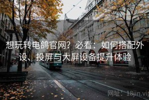 想玩转电鸽官网？必看：如何搭配外设、投屏与大屏设备提升体验