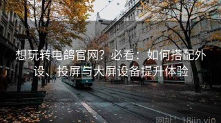 想玩转电鸽官网？必看：如何搭配外设、投屏与大屏设备提升体验