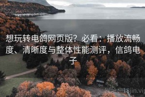 想玩转电鸽网页版？必看：播放流畅度、清晰度与整体性能测评，信鸽电子