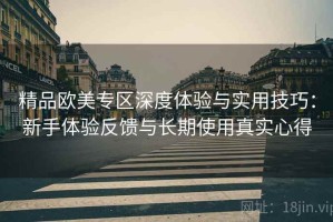 精品欧美专区深度体验与实用技巧：新手体验反馈与长期使用真实心得