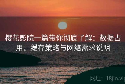 樱花影院一篇带你彻底了解：数据占用、缓存策略与网络需求说明