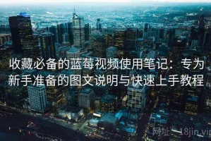 收藏必备的蓝莓视频使用笔记：专为新手准备的图文说明与快速上手教程