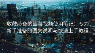 收藏必备的蓝莓视频使用笔记：专为新手准备的图文说明与快速上手教程