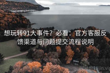想玩转91大事件？必看：官方客服反馈渠道与问题提交流程说明