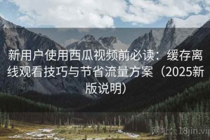 新用户使用西瓜视频前必读：缓存离线观看技巧与节省流量方案（2025新版说明）