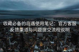 收藏必备的岛遇使用笔记：官方客服反馈渠道与问题提交流程说明