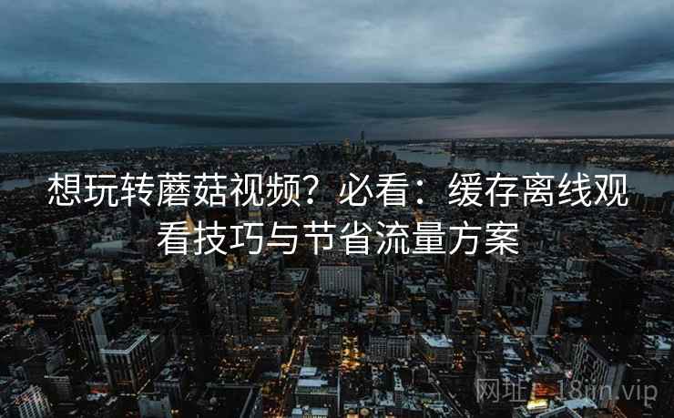 想玩转蘑菇视频?必看:缓存离线观看技巧与节省流量方案 想玩转蘑菇视频?必看:缓存离线观看技巧与节省流量方案