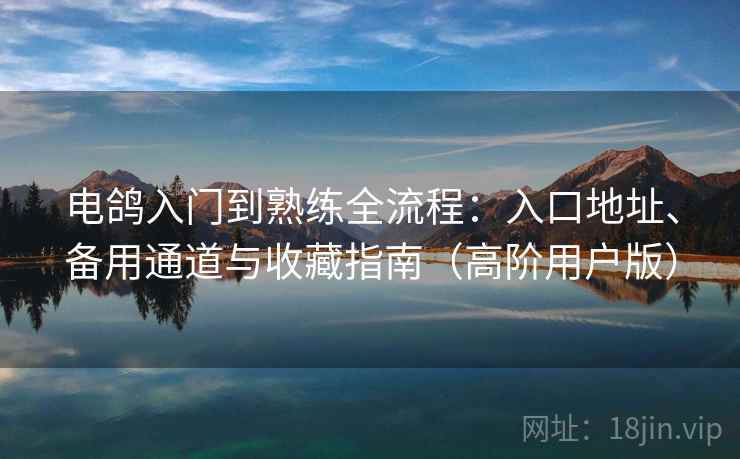 电鸽入门到熟练全流程：入口地址、备用通道与收藏指南（高阶用户版）