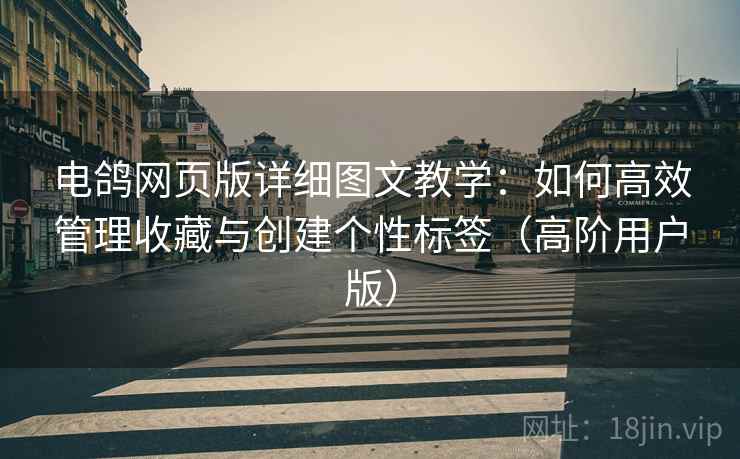 电鸽网页版详细图文教学：如何高效管理收藏与创建个性标签（高阶用户版）