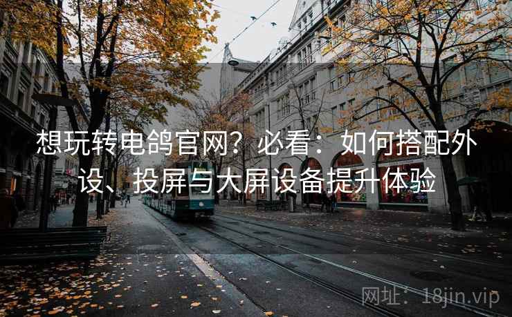 想玩转电鸽官网？必看：如何搭配外设、投屏与大屏设备提升体验